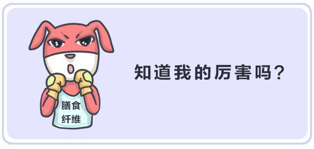 纖維時代，未來已來